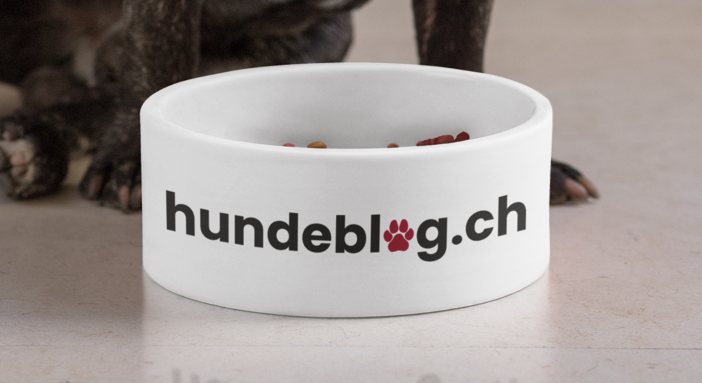 A white dog bowl featuring the hundeblog.ch logo, where the ‘o’ is a red paw, with a dog behind it